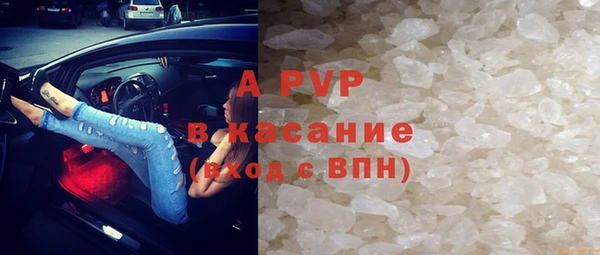 винт Богданович