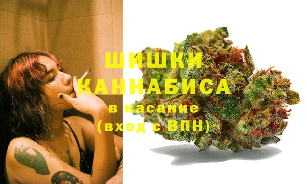 бутират Белокуриха