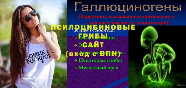 винт Богданович